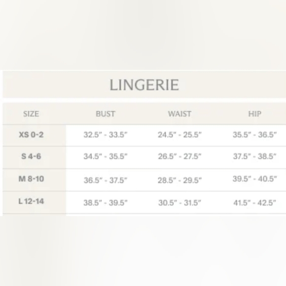 SAVAGE X FENTY Gilded Chains Embroidered Mesh Bustier - Picture 6 of 6